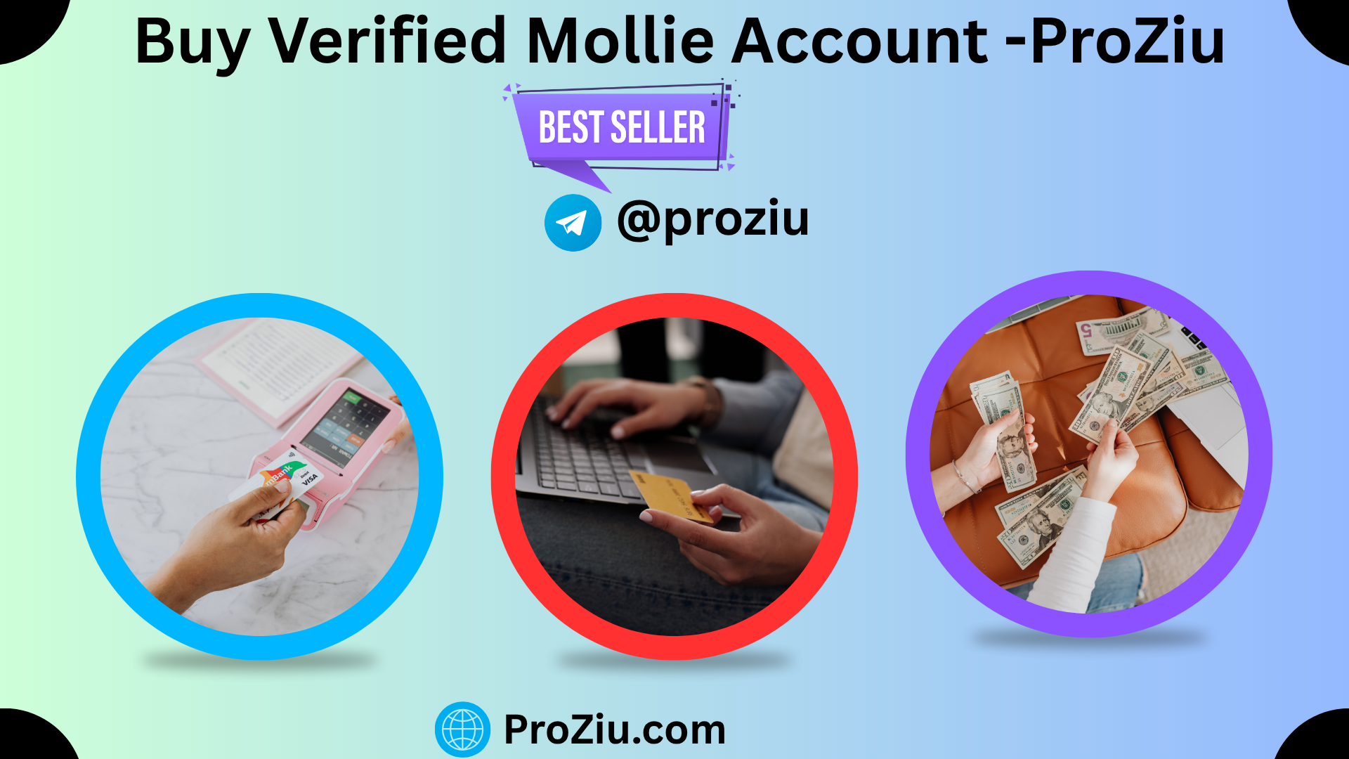 Buy Verified Mollie Accounts